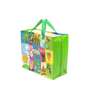 Storefit Shopping Bags & Containers China PP Woven Bag Short Handle